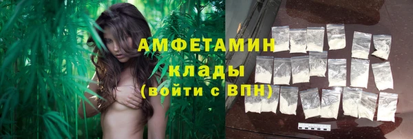 молекула духа Балабаново