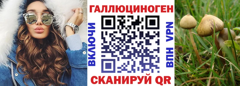 mega маркетплейс  Волжск  Галлюциногенные грибы ЛСД 