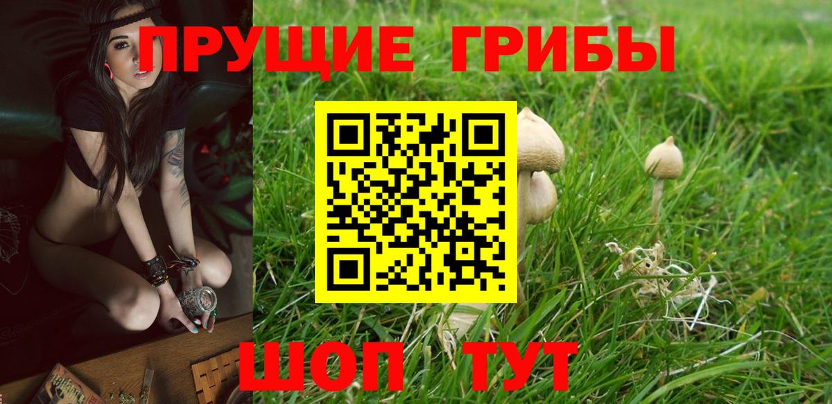 Галлюциногенные грибы ЛСД Волжск