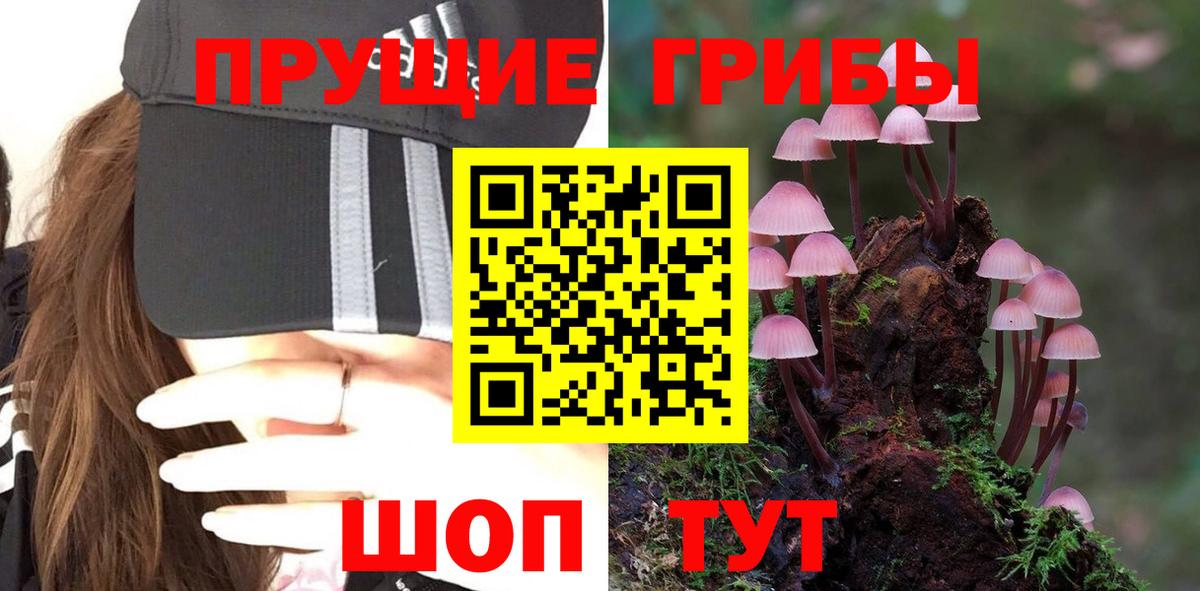 Галлюциногенные грибы MAGIC MUSHROOMS  Вход с VPN  Волжск  Псилоцибиновые грибы GOLDEN TEACHER 